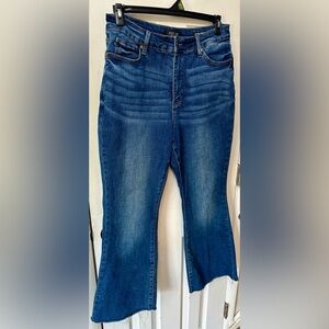 Judy Blue Dark Wash Control Top Flare Jeans, 16W
